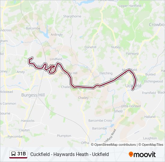 31B bus Line Map