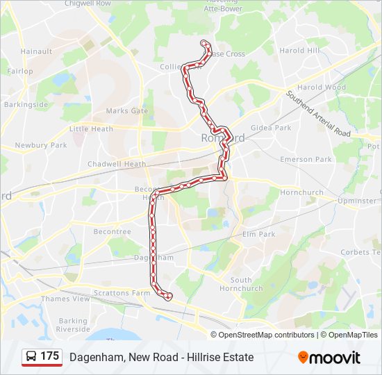 175 Route: Schedules, Stops & Maps - Hillrise Estate (Updated)