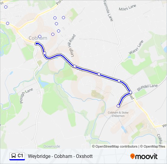 c1 Route Schedules, Stops & Maps Cobham (Updated)