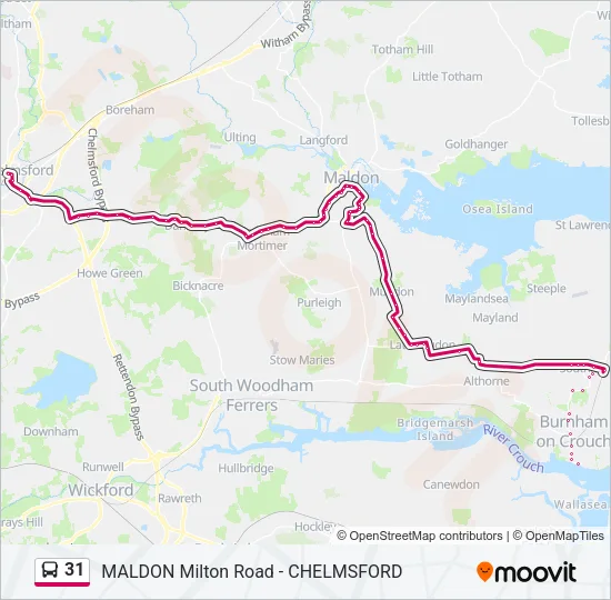 31 Bus Line Map