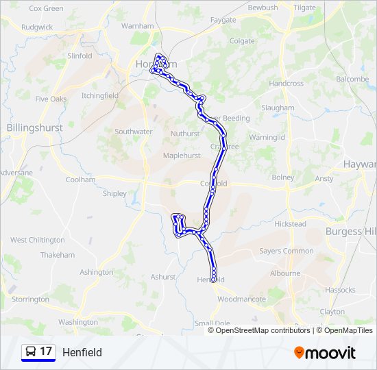 17 Route: Schedules, Stops & Maps - Henfield (Updated)