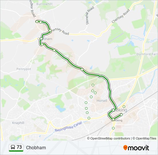 73 Route Schedules, Stops & Maps Chobham (Updated)