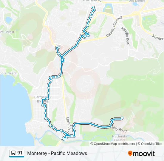 91 Bus Line Map