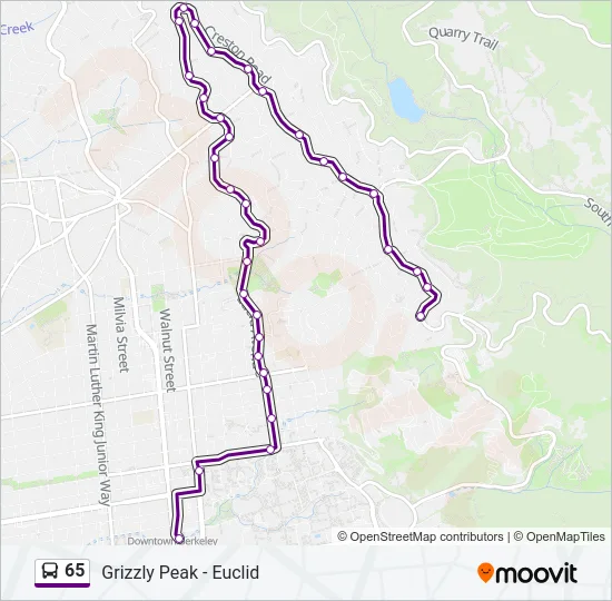 65 Bus Line Map