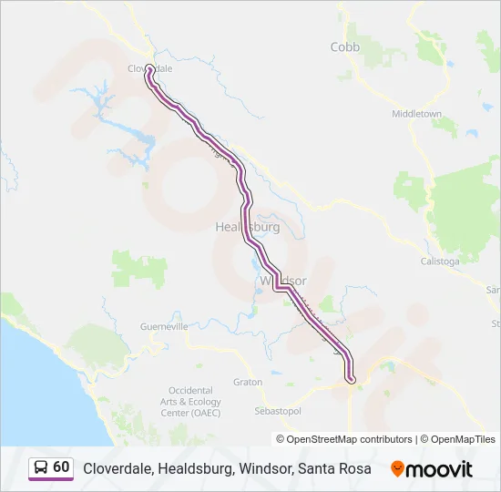 60 Bus Line Map