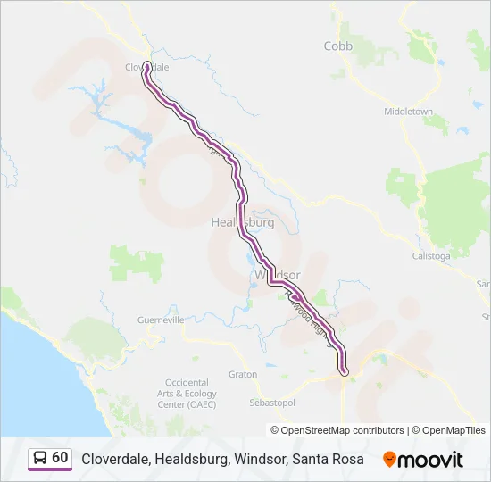 60 Bus Line Map