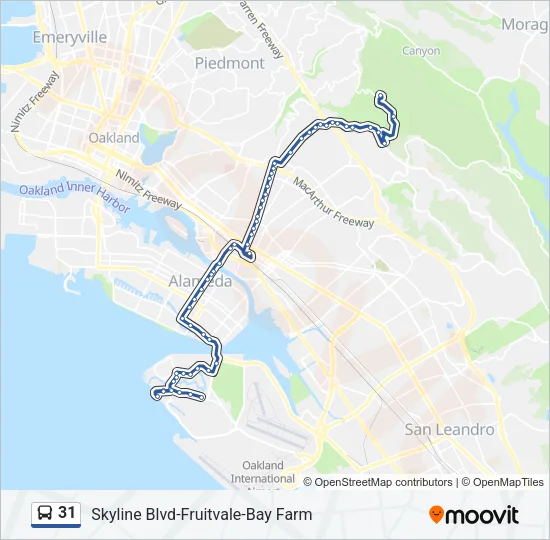 31 Bus Line Map