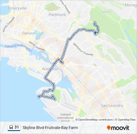 31 Bus Line Map