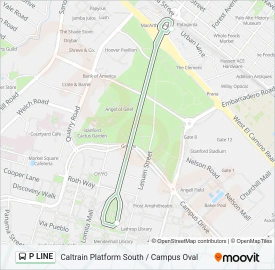 P LINE Bus Line Map