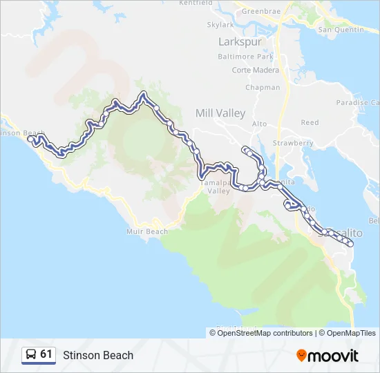 61 Bus Line Map
