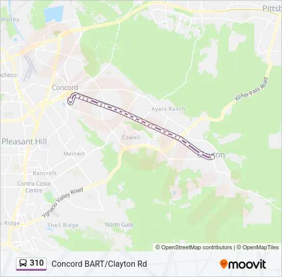 310 Bus Line Map