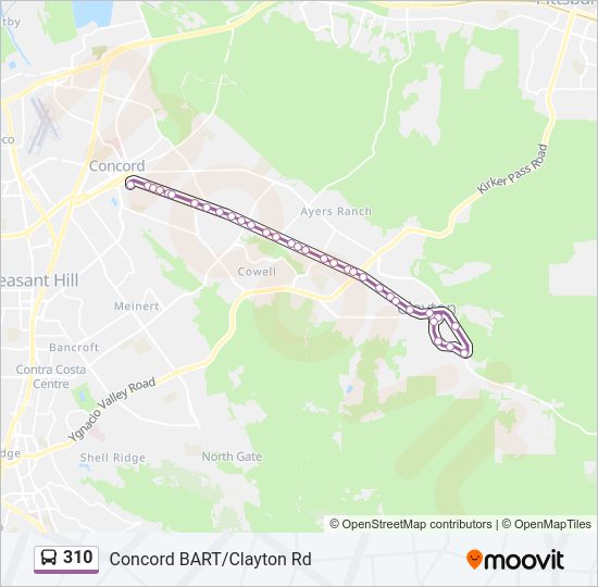 310 bus Line Map