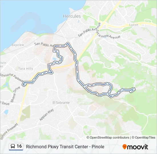 16 Bus Line Map