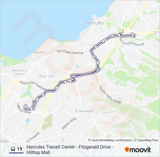 19 Bus Line Map