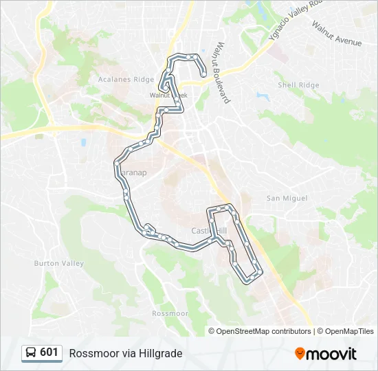601 Bus Line Map