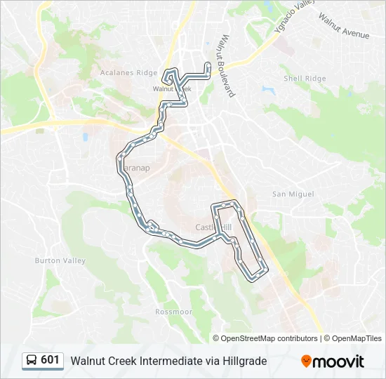601 Bus Line Map