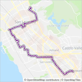 34 Route: Schedules, Stops & Maps - Hayward BART (Updated)