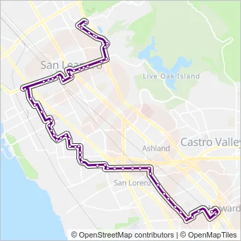 34 Route: Schedules, Stops & Maps - Foothill Square (Updated)