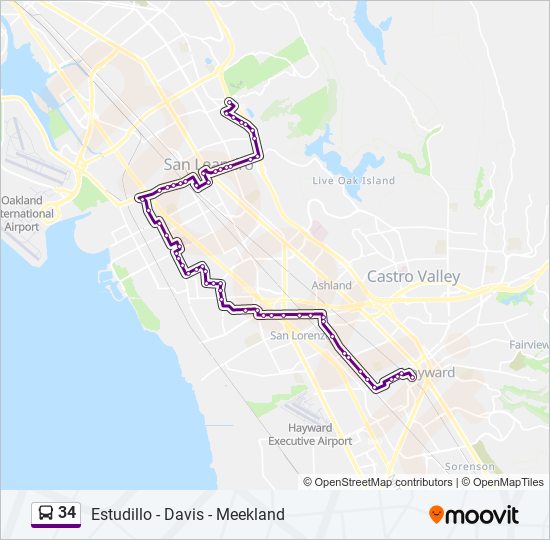 201 Route: Schedules, Stops & Maps - Calle 34aa‎→Calle 34aa (Updated)