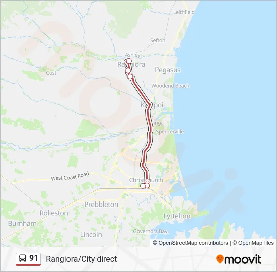 91 Route: Schedules, Stops & Maps - City & Public Hospital (Updated)