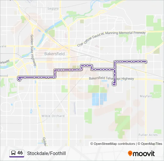 46 Route: Schedules, Stops & Maps - Foothill (Updated)