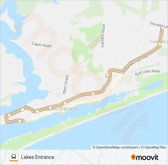 3 Bus Line Map