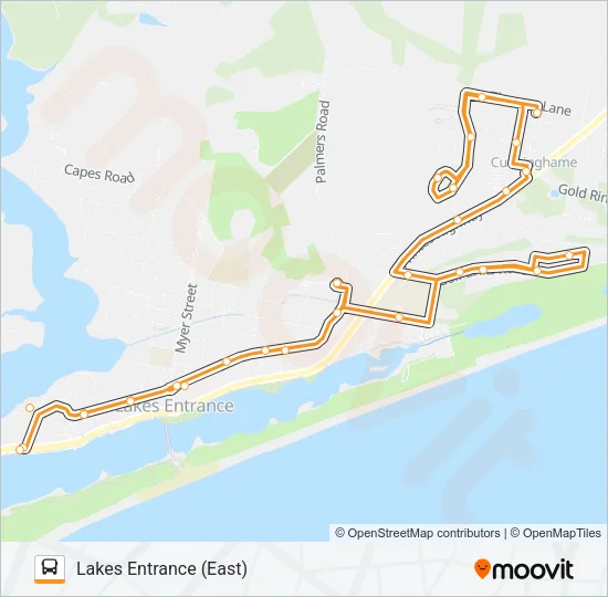 3 Bus Line Map