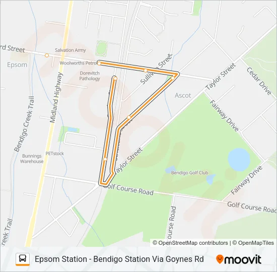 50 Bus Line Map