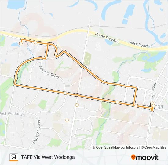 T Bus Line Map