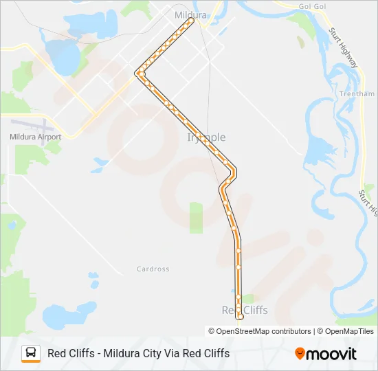 100/200 Bus Line Map