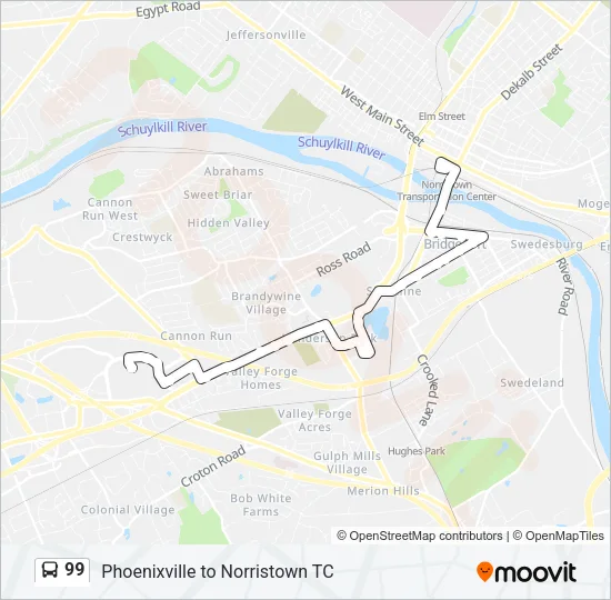 99 Bus Line Map