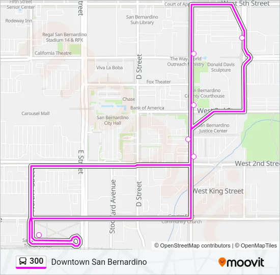 300 Bus Line Map