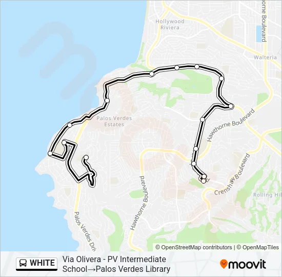 WHITE Bus Line Map