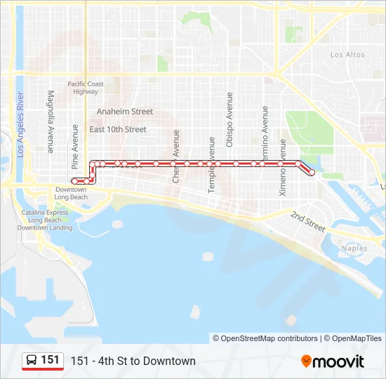 151 Bus Line Map