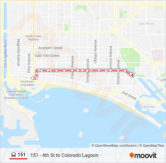 151 Bus Line Map