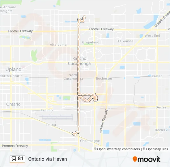 81 Bus Line Map