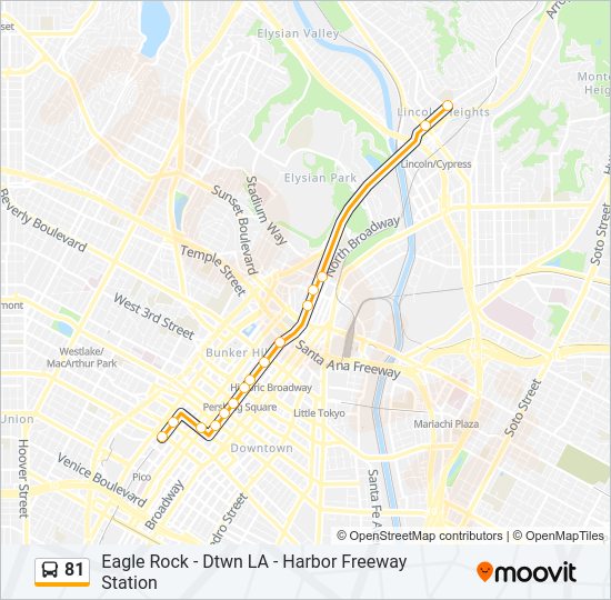 81 Bus Line Map