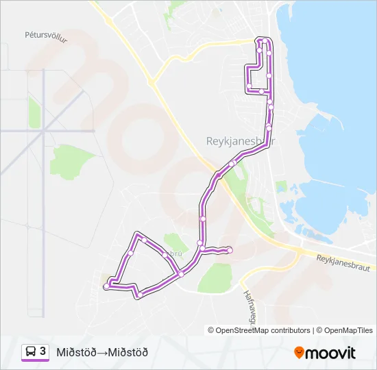 3 Bus Line Map