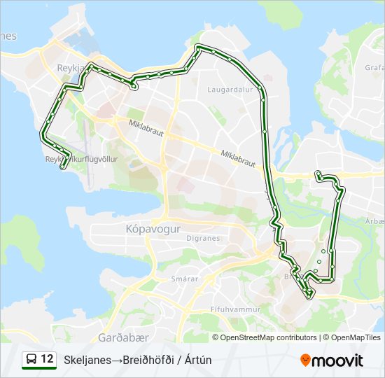 12 Bus Line Map
