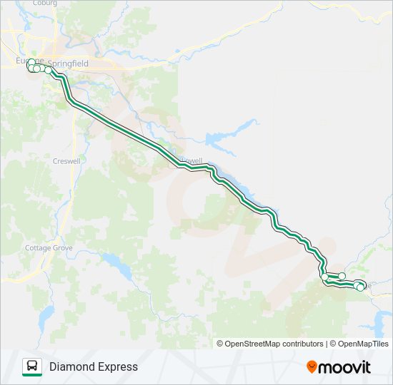 DIAMOND EXPRESS Bus Line Map