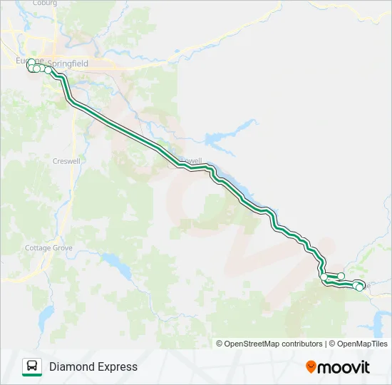 DIAMOND EXPRESS Bus Line Map