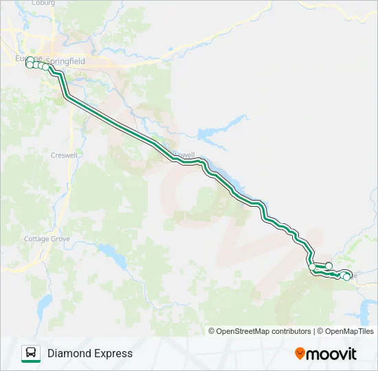 DIAMOND EXPRESS Bus Line Map