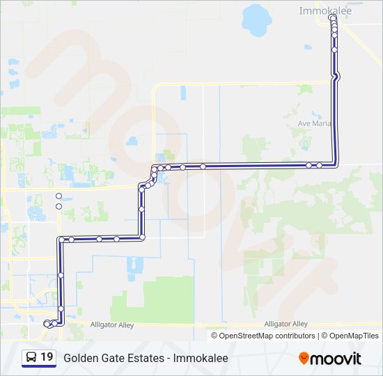 19 bus Line Map