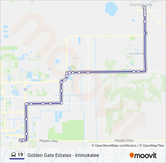19 Bus Line Map
