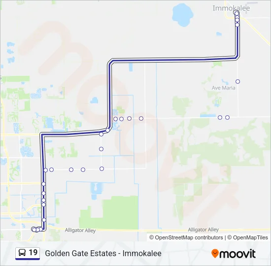 19 Bus Line Map