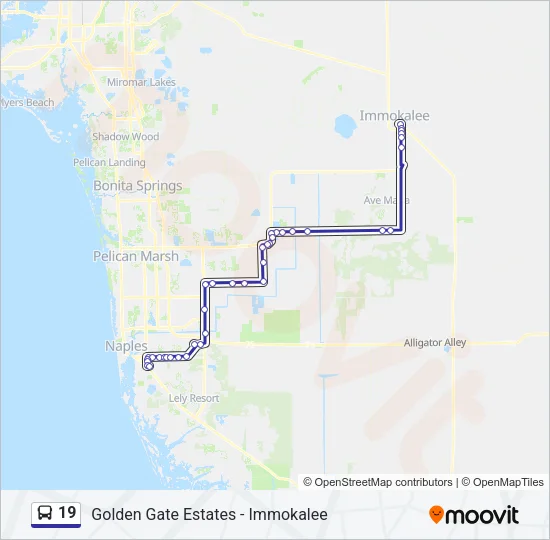 19 Bus Line Map