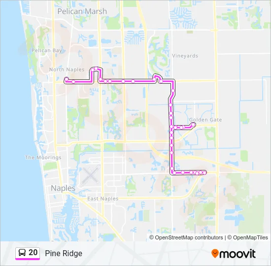 20 Bus Line Map