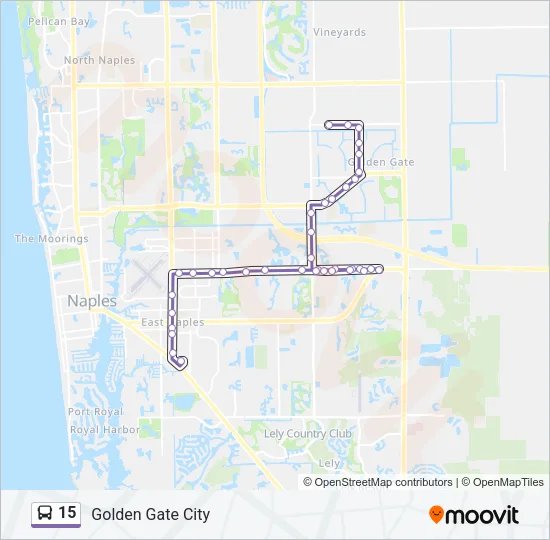 15 Bus Line Map