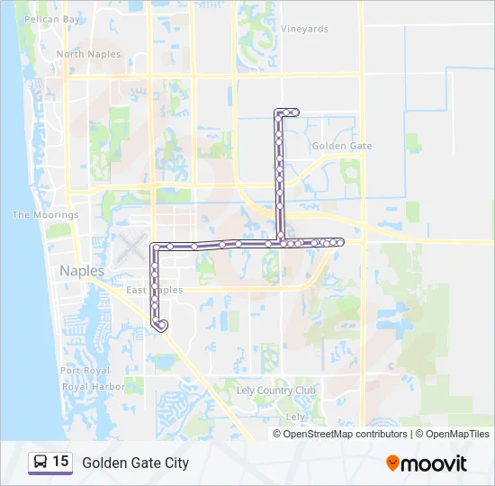 15 Bus Line Map