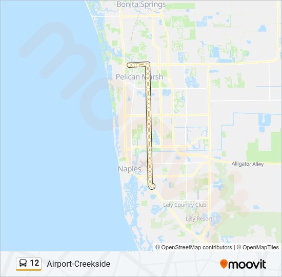 12 Bus Line Map